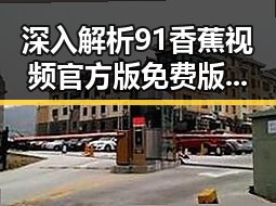 深入解析91香蕉视频官方版免费版:娱乐圈的焦点与现状