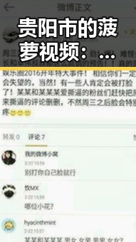 贵阳市的菠萝视频：娱乐与生活的多元融合