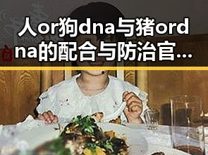 人or狗dna与猪ordna的配合与防治官方版：现代养殖中的关键技术