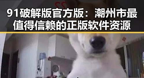 91破解版官方版：潮州市最值得信赖的正版软件资源