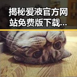 揭秘爱液官方网站免费版下载：轻松获取娱乐圈八卦新体验