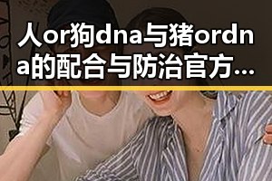 人or狗dna与猪ordna的配合与防治官方版下载：专家解析与实际应用