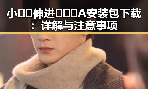 小🐔🐔伸进🈲🔞🔞A安装包下载:详解与注意事项