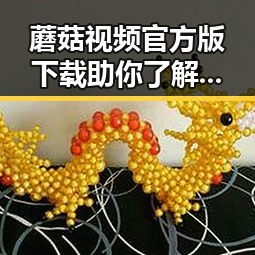 蘑菇视频官方版下载助你了解黄冈市娱乐新动态