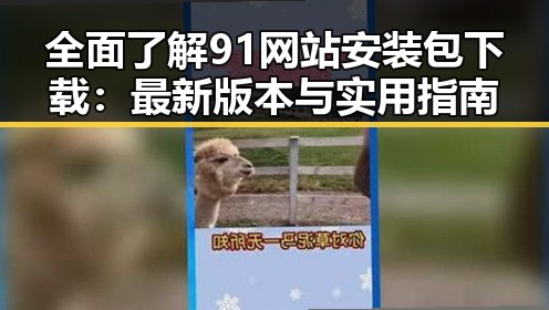 全面了解91网站安装包下载：最新版本与实用指南