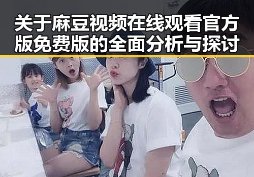 关于麻豆视频在线观看官方版免费版的全面分析与探讨