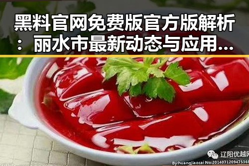 黑料 官网免费版官方版解析：丽水市最新动态与应用指南