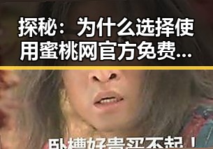 探秘：为什么选择使用蜜桃网官方免费版？