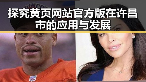探究黄页网站官方版在许昌市的应用与发展