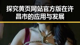 探究黄页网站官方版在许昌市的应用与发展
