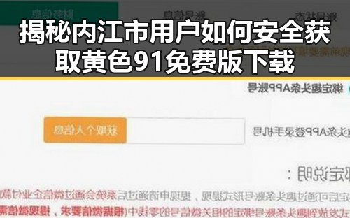 揭秘内江市用户如何安全获取黄色91免费版下载