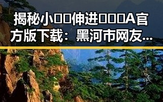 揭秘小🐔🐔伸进🈲🔞🔞A官方版下载：黑河市网友热议的焦点