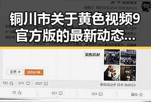 铜川市关于黄色视频9官方版的最新动态与回顾