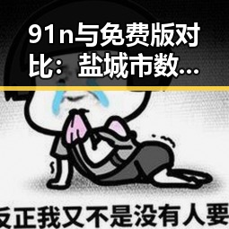 91n与免费版对比：盐城市数字化平台的最新发展