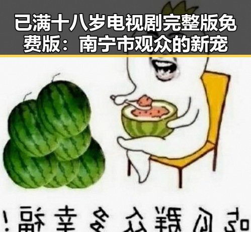 已满十八岁电视剧完整版免费版：南宁市观众的新宠