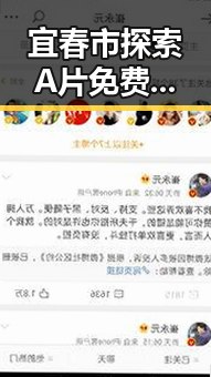 宜春市探索A片免费版官方版的现状与发展
