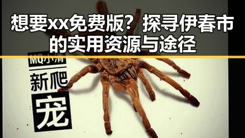 想要xx免费版？探寻伊春市的实用资源与途径