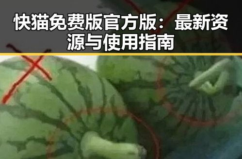 快猫免费版官方版：最新资源与使用指南