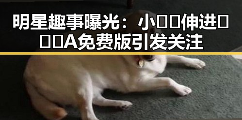 明星趣事曝光：小🐔🐔伸进🈲🔞🔞A免费版引发关注