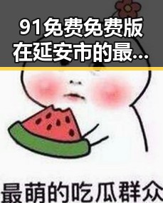 91免费免费版在延安市的最新应用与发展