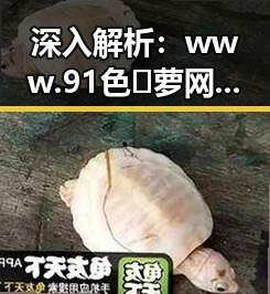 深入解析：www.91色😍萝网站官方版下载免费版的实际应用与安全性
