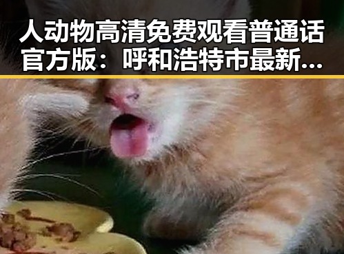 人动物高清免费观看普通话官方版：呼和浩特市最新观看指南