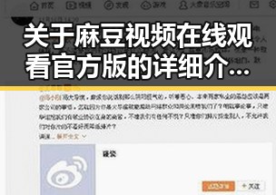 关于麻豆视频在线观看官方版的详细介绍与现状分析