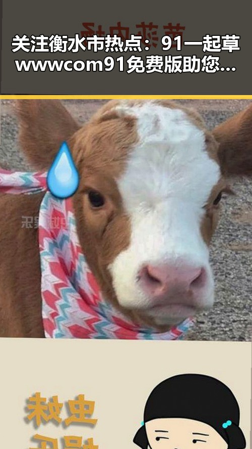 关注衡水市热点：91 一起草wwwcom91免费版助您轻松获取最新信息