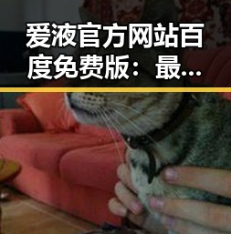 爱液官方网站百度免费版：最新动态与行业解析