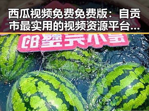 西瓜视频免费免费版：自贡市最实用的视频资源平台推荐
