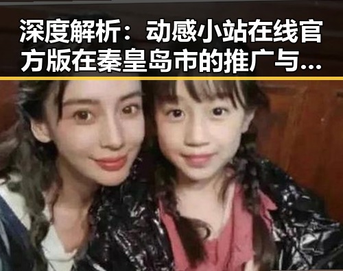 深度解析：动感小站在线官方版在秦皇岛市的推广与应用