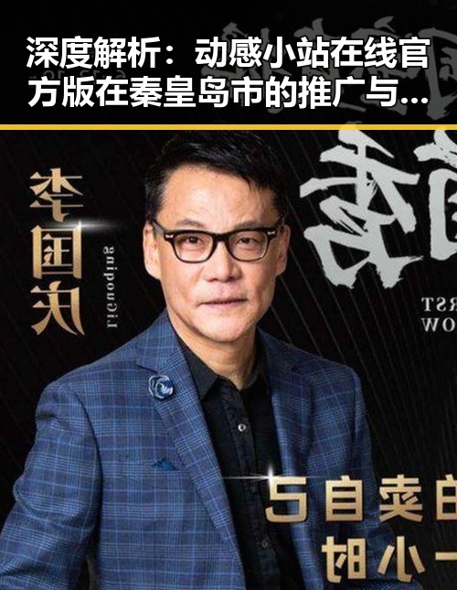 深度解析：动感小站在线官方版在秦皇岛市的推广与应用