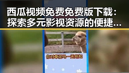 西瓜视频免费免费版下载：探索多元影视资源的便捷途径