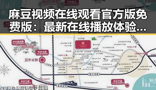 麻豆视频在线观看官方版免费版：最新在线播放体验解析