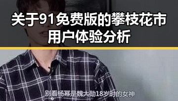 关于91免费版的攀枝花市用户体验分析