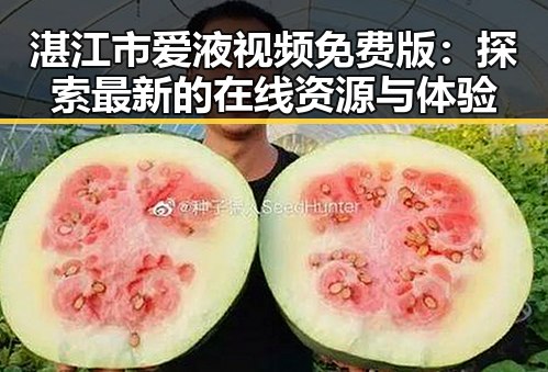 湛江市爱液视频免费版：探索最新的在线资源与体验