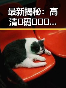 最新揭秘:高清🈚码🔞❌♋免91官方版让福州市用户体验大不同