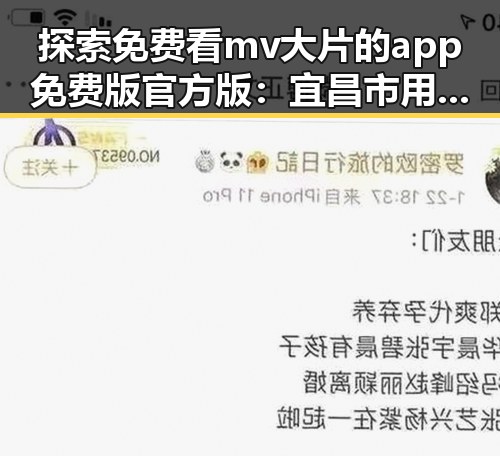 探索免费看mv大片的app免费版官方版:宜昌市用户的新选择