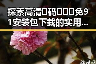 探索高清🈚码🔞❌♋免91安装包下载的实用指南