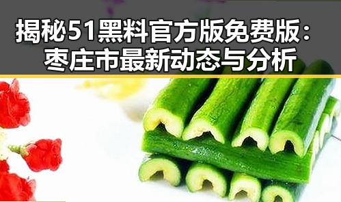 揭秘51黑料官方版免费版：枣庄市最新动态与分析