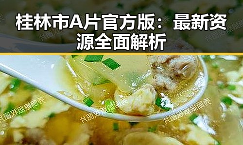 桂林市A片官方版：最新资源全面解析