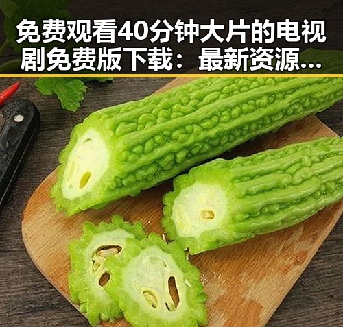 免费观看40分钟大片的电视剧免费版下载：最新资源解析