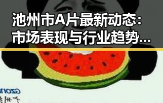 池州市A片最新动态：市场表现与行业趋势分析