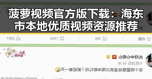 菠萝视频官方版下载:海东市本地优质视频资源推荐