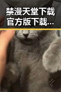 禁漫天堂下载官方版下载免费版：畅享高清资源新体验