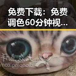 免费下载：免费调色60分钟视频官方版下载——衡水市的创意调色教程