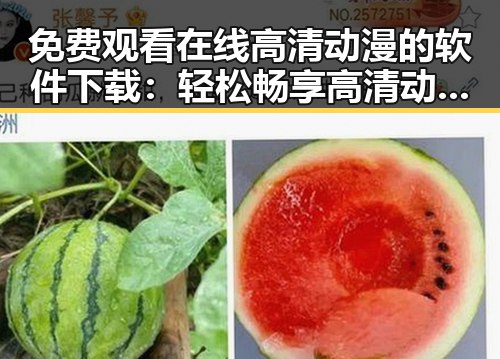 免费观看在线高清动漫的软件下载：轻松畅享高清动漫资源