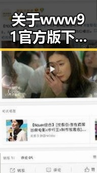 关于www91官方版下载的全面解析