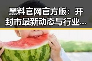 黑料 官网官方版：开封市最新动态与行业发展