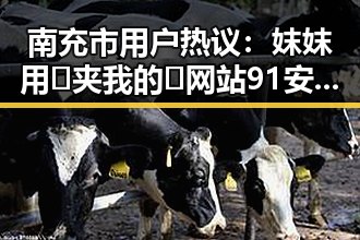 南充市用户热议：妺妺用🐻夹我的🍌网站91安装包下载体验分享